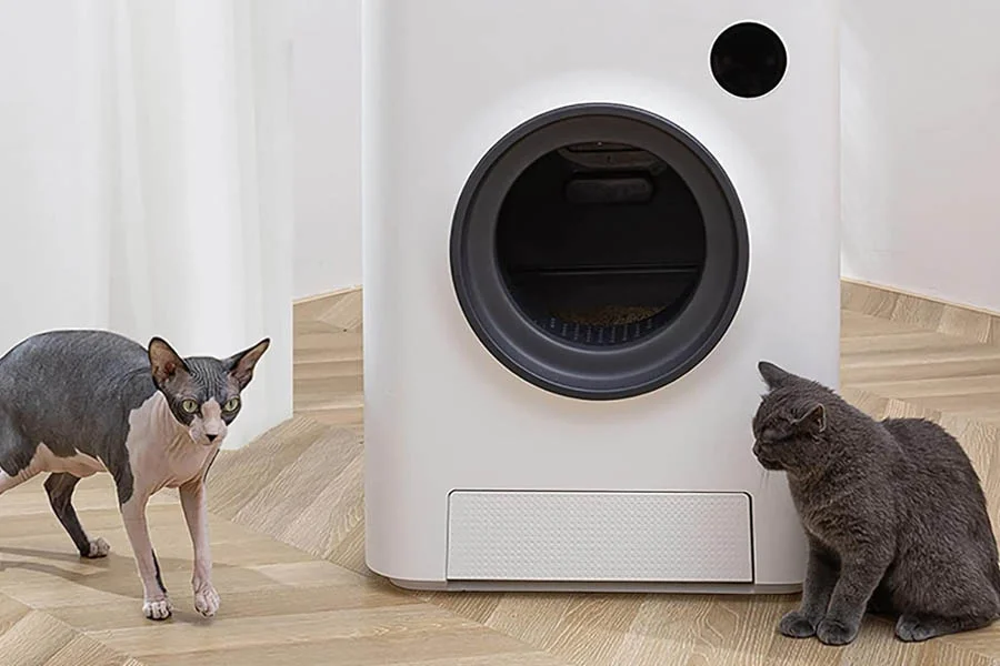no smell litter box